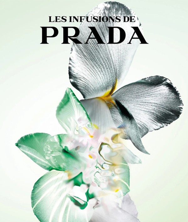 Parfumica - Prestijli Markaların Online Parfüm Satış Sitesi